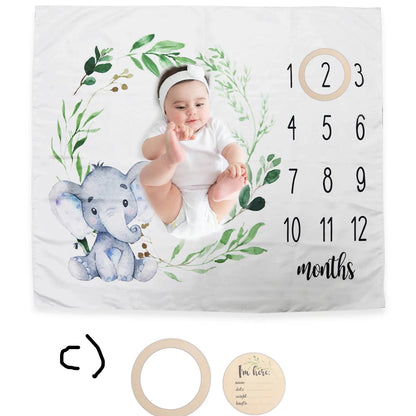 Newborn Milestone Blankets